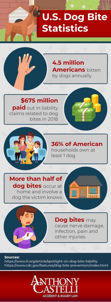 Infographic showing U.S. dog bite statistics