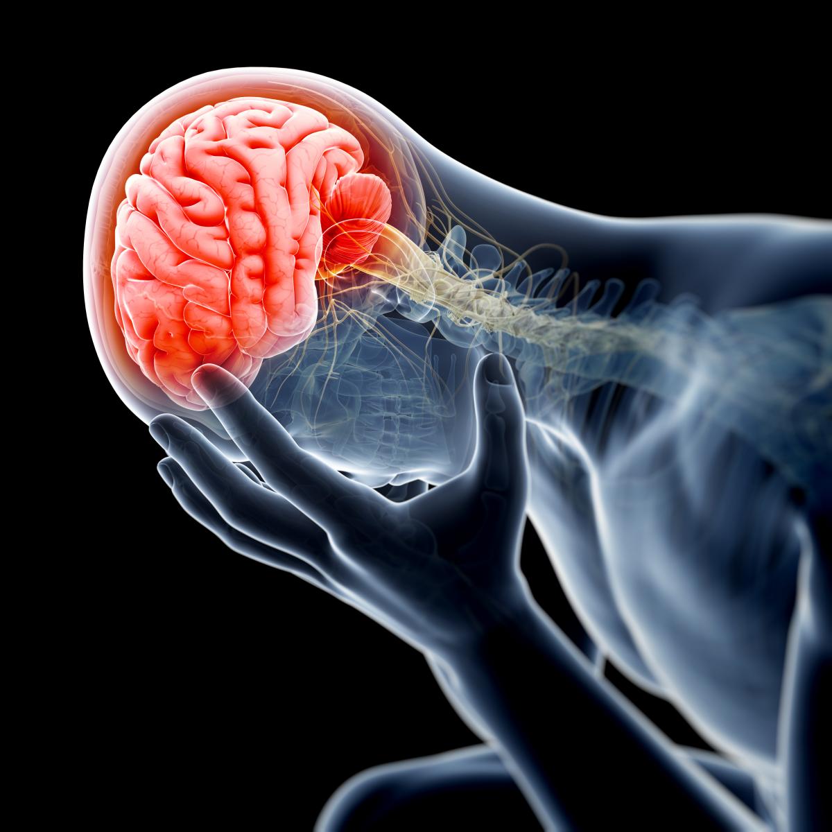 Traumatic Brain Injury Lawyer